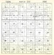 Ford county illinois township map